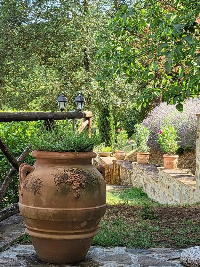 Luxury 1-Bedroom House With The Pool In Tuscany. Anghiari Bagian luar foto