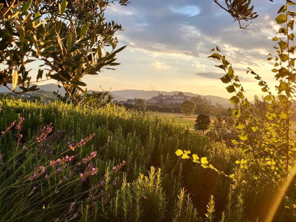 Luxury 1-Bedroom House With The Pool In Tuscany. Anghiari Bagian luar foto