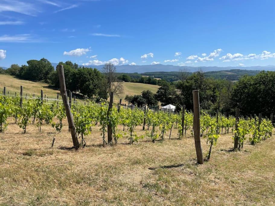 Luxury 1-Bedroom House With The Pool In Tuscany. Anghiari Bagian luar foto