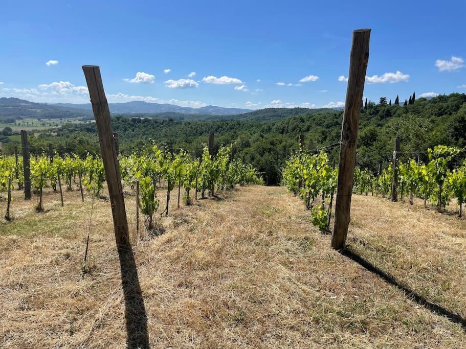 Luxury 1-Bedroom House With The Pool In Tuscany. Anghiari Bagian luar foto