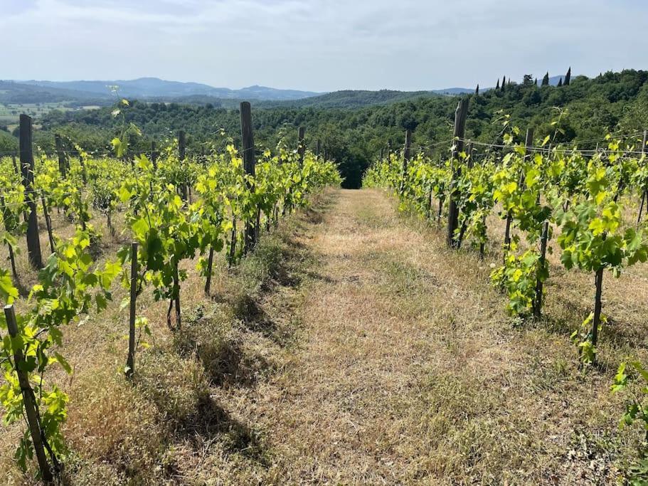 Luxury 1-Bedroom House With The Pool In Tuscany. Anghiari Bagian luar foto