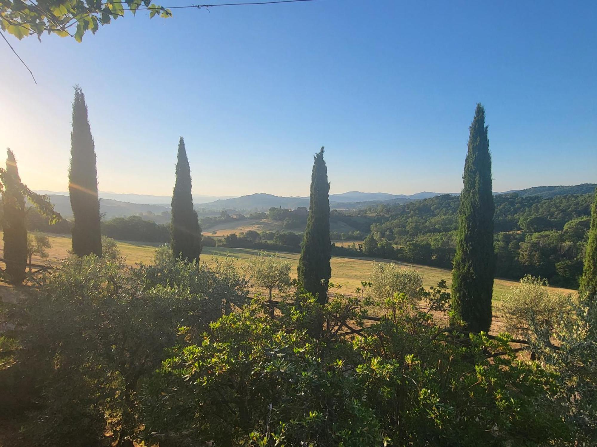 Luxury 1-Bedroom House With The Pool In Tuscany. Anghiari Bagian luar foto